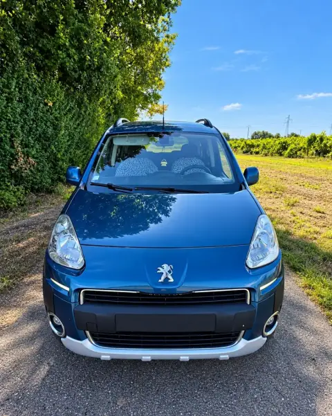 Peugeot Tepee reprogrammé chez Charente Reprog