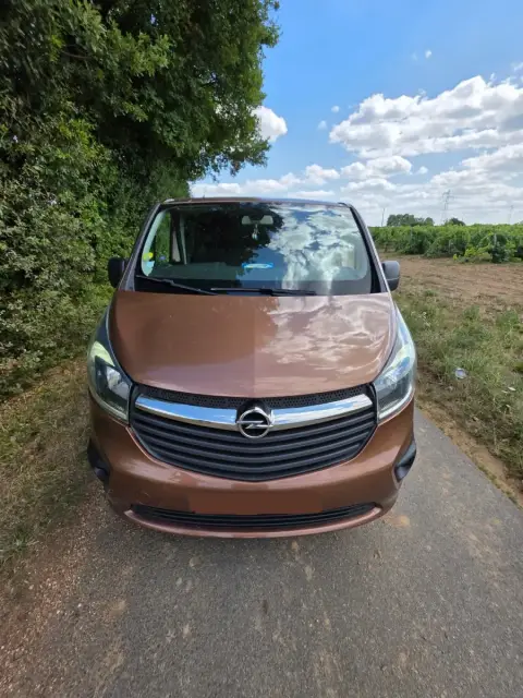 Opel Vivaro ( Euro 5 ) reprogrammé chez Charente Reprog