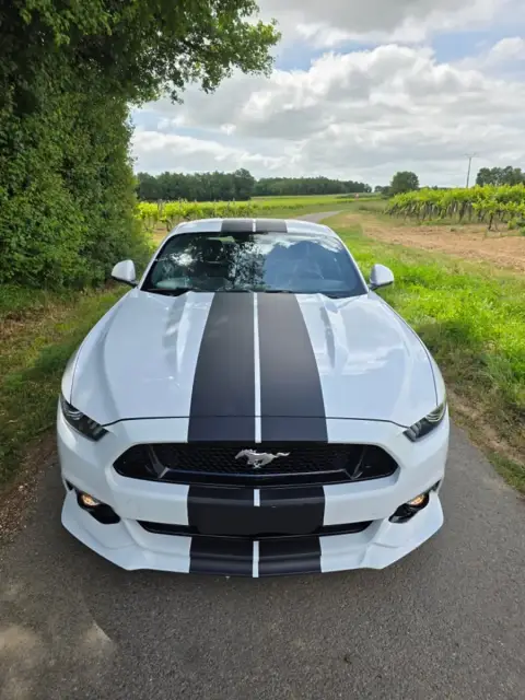 Ford Mustang GT V8 Mk6 reprogrammé chez Charente Reprog