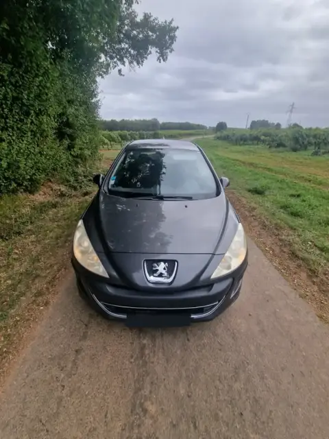 Peugeot 308 reprogrammé chez Charente Reprog