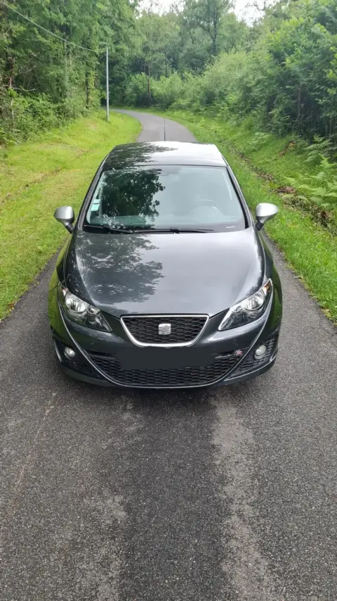 Seat Ibiza reprogrammé chez Charente Reprog