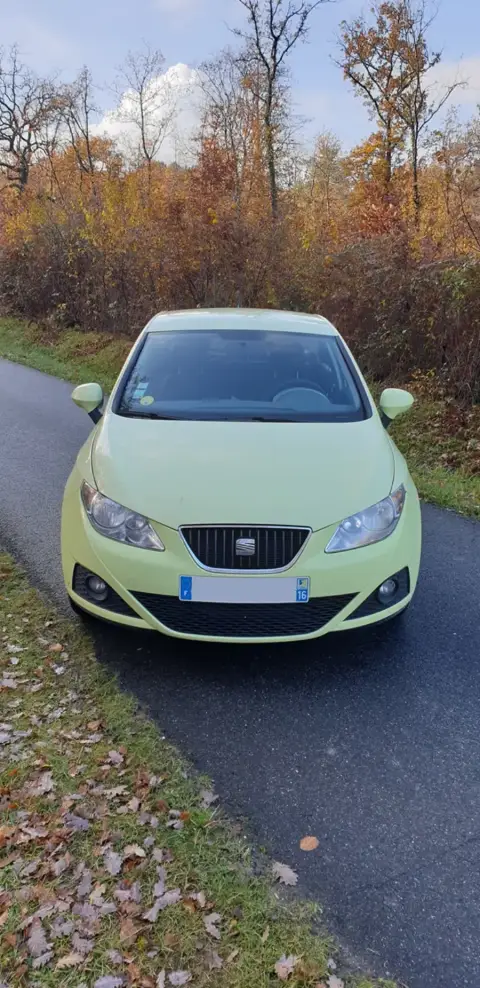 Seat Ibiza reprogrammé chez Charente Reprog