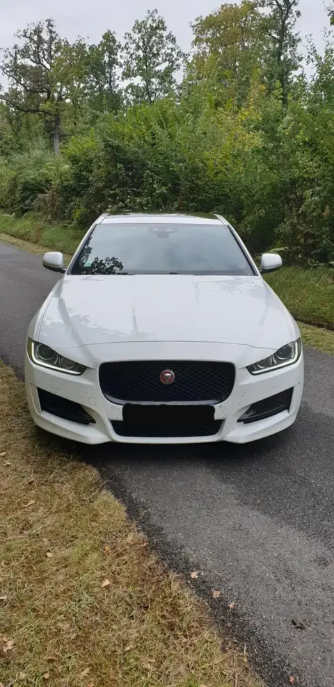 Jaguar Xe reprogrammé chez Charente Reprog